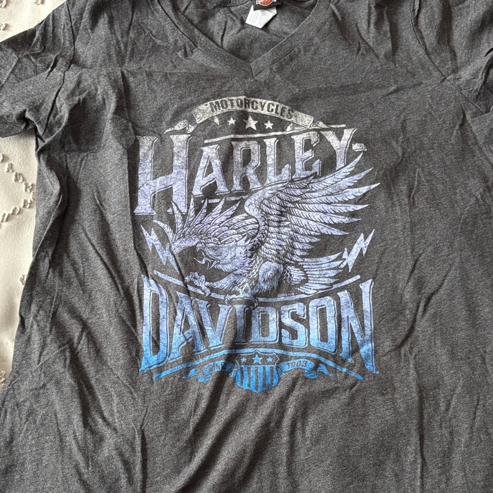 Harley-Davidson Charcoal Tee with Blue Graphic